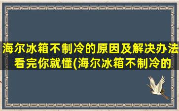 海尔冰箱不制冷的原因及解决办法 看完你就懂(海尔冰箱不制冷的原因和解决方法视频)